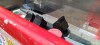 Iveco Daily GSR E169TR - 16,05 m - 200 kg